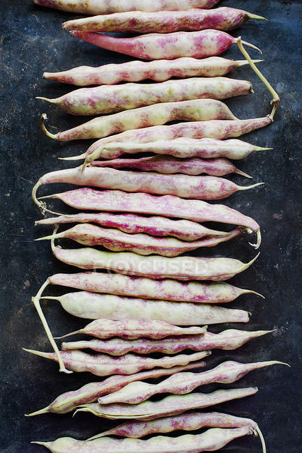 Pinto beans in a row, still life — Stock Photo