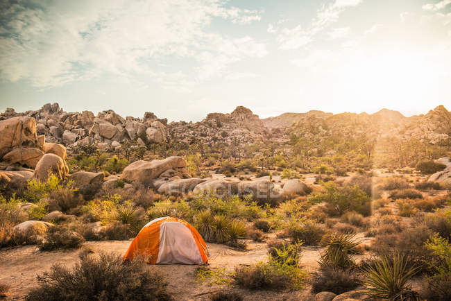 Палатка, установленная на солнце, освещена Джошуа Три Национальный парк, Калифорния, США — стоковое фото