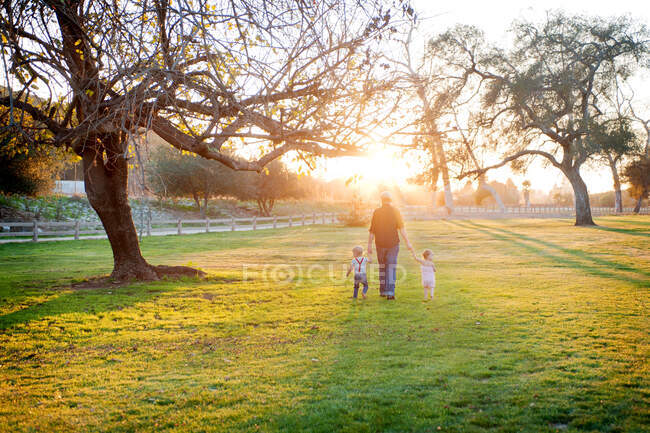 Padre caminando con hijo e hija en el campo iluminado por el sol - foto de stock