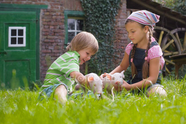 Brother and sister playing with piglets — Stock Photo