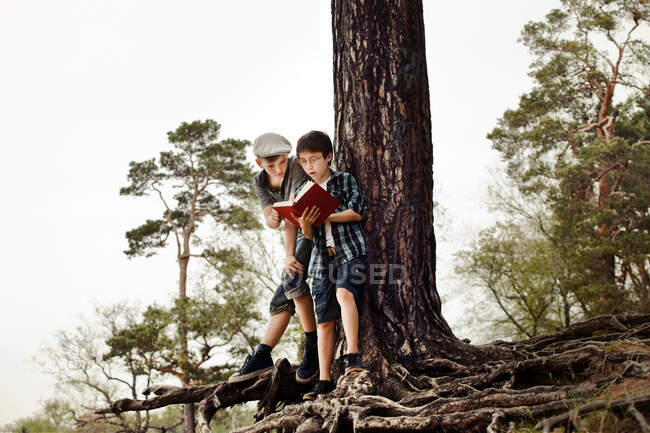 Niños leyendo libro por árbol tronco - foto de stock