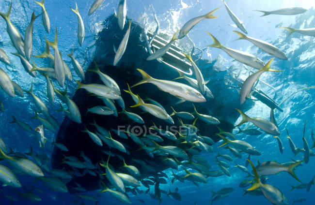 Underwater view of vessel, underwater view — Stock Photo