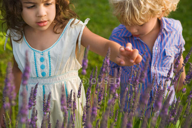 Garçon et fille regardant lavende — Photo de stock