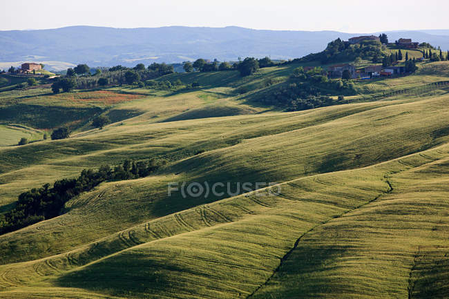 Paesaggio ondulato vicino Siena — Foto stock