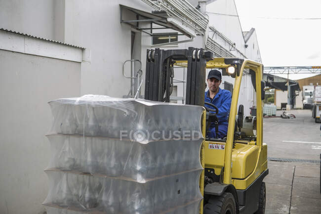 Città del Capo, Sud Africa, guida operaia maschile in carrelli elevatori dalla fabbrica di imballaggi — Foto stock