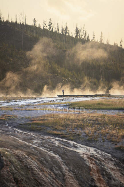 A solitary person stands in the mist at the Midway Geyser Basin in Yellowstone National Park during sunset. — Stock Photo