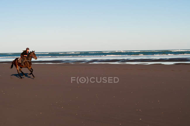 Mulher adulta média montando cavalo na praia — Fotografia de Stock
