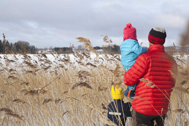 Padre y dos hijos caminando a través de la hierba larga, en el paisaje cubierto de nieve, vista trasera - foto de stock