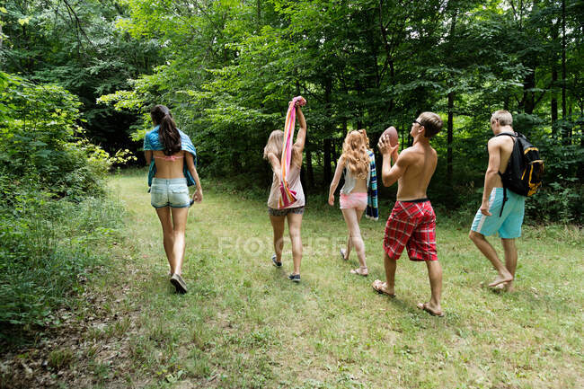 Cinq amis marchant sur l'herbe, vue arrière — Photo de stock