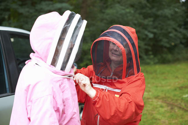 Apicultor asegurando a sus compañeros apicultores ropa protectora - foto de stock