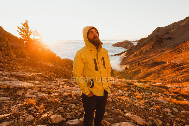 Männlicher Wanderer, der von der felsigen Landschaft aufblickt, Mineralkönig, Mammutbaum-Nationalpark, Kalifornien, USA — Stockfoto
