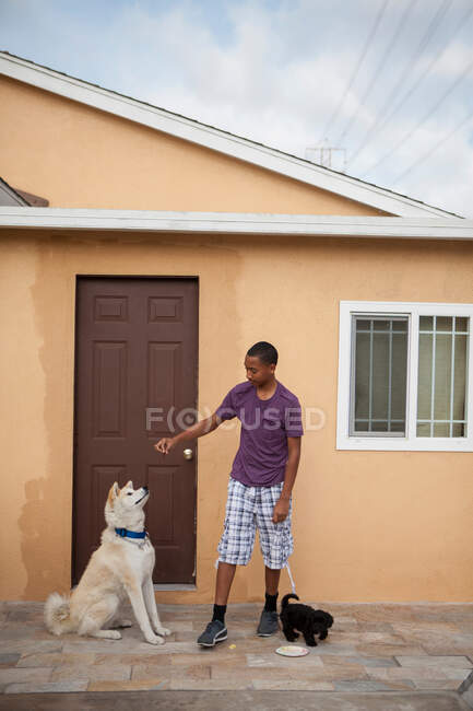 Garçon dehors maison avec deux chiens — Photo de stock