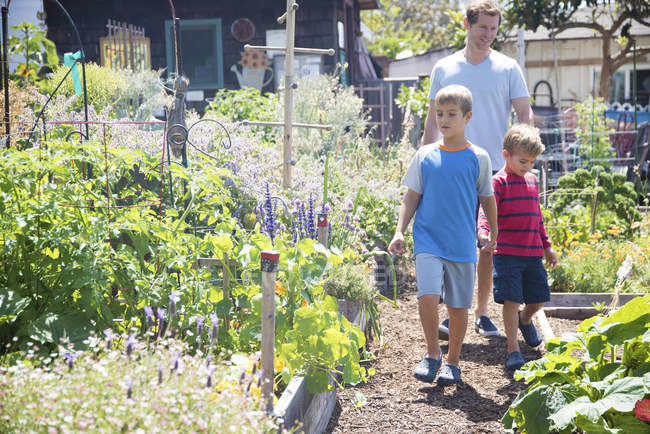 Father and two sons walking in allotment — Stock Photo
