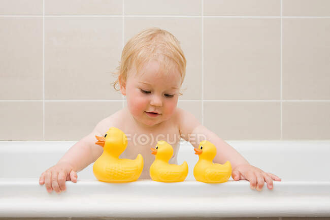 Um menino olhando para uma fileira de patos de borracha — Fotografia de Stock
