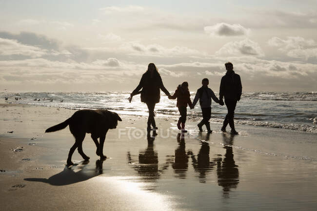Familia y perro junto al mar - foto de stock