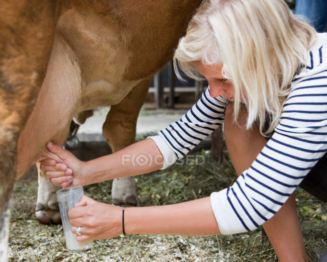 Menina ordenha vaca à mão — Fotografia de Stock