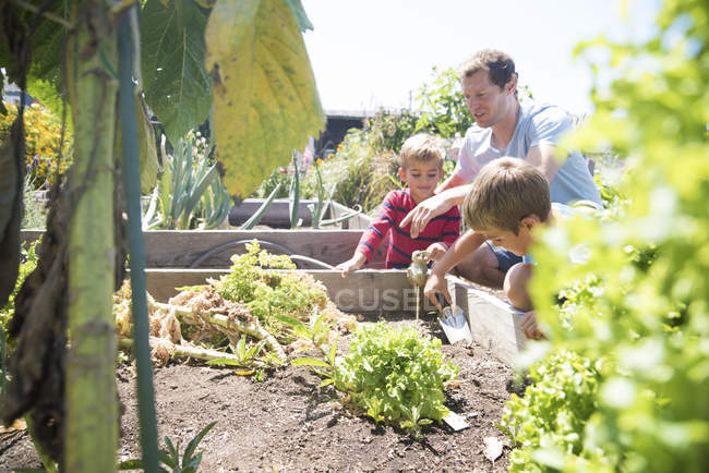 Man showing two sons raised beds in allotment — Stock Photo