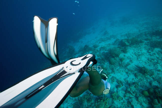 Freediver buceo hasta el fondo - foto de stock