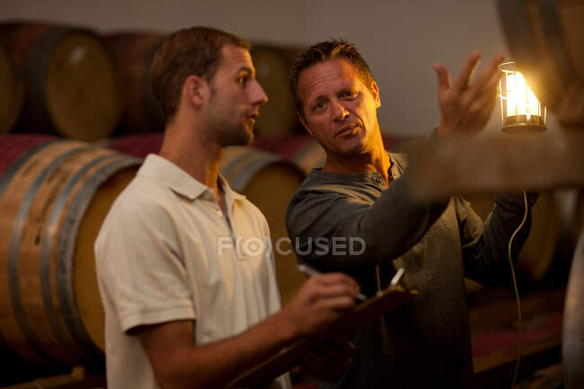 Checking wine aging in barrels — Stock Photo