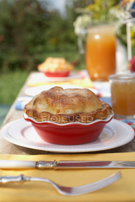 Домашний яблочный пирог подается на стол — стоковое фото