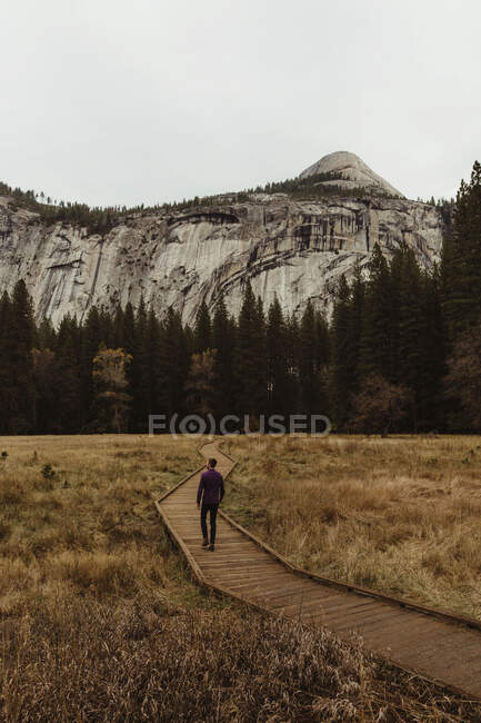 Rear view of male hiker hiking on boardwalk toward mountains, Yosemite National Park, California, USA — Stock Photo