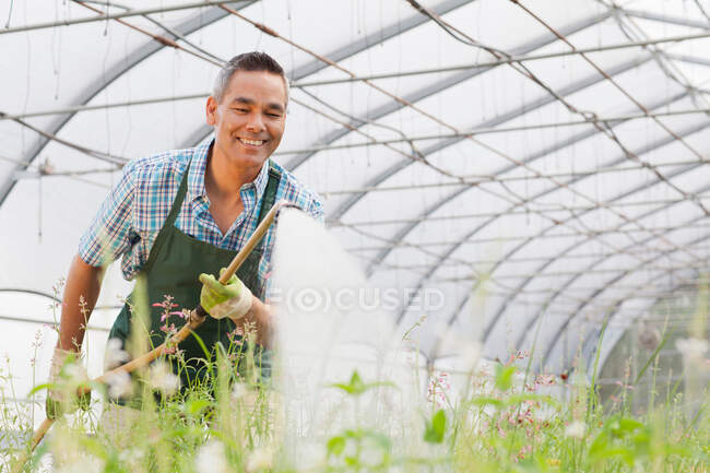 Reifer Mann gießt Pflanzen in Gartencenter — Stockfoto
