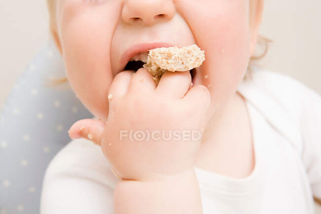 A baby boy eating a biscuit — Stock Photo