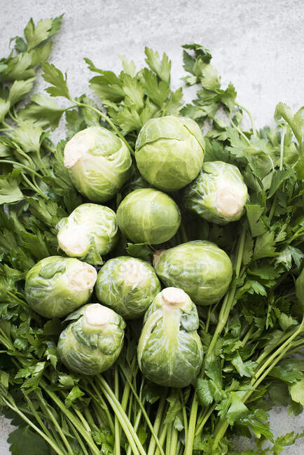 Brussel sprouts on parsley, close-up — Stock Photo