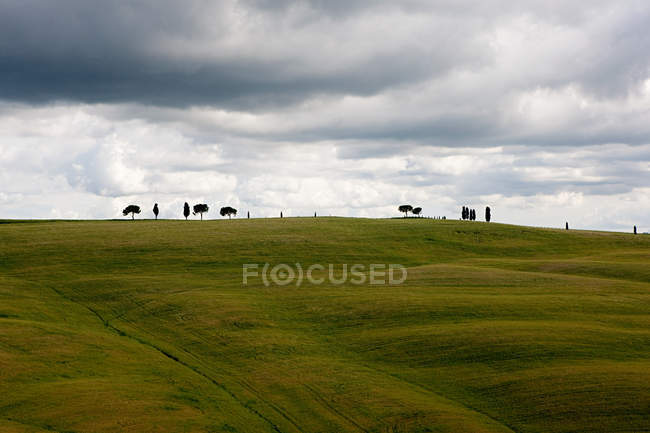 Paesaggio con campo verde — Foto stock