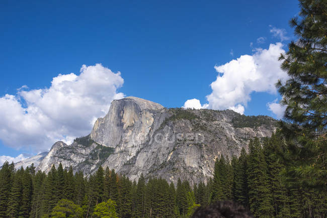 Vista de montanha rochosa e floresta, Parque Nacional de Yosemite, Califórnia, EUA — Fotografia de Stock