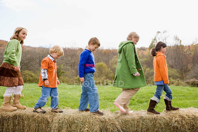Niños caminando sobre fardos de heno - foto de stock