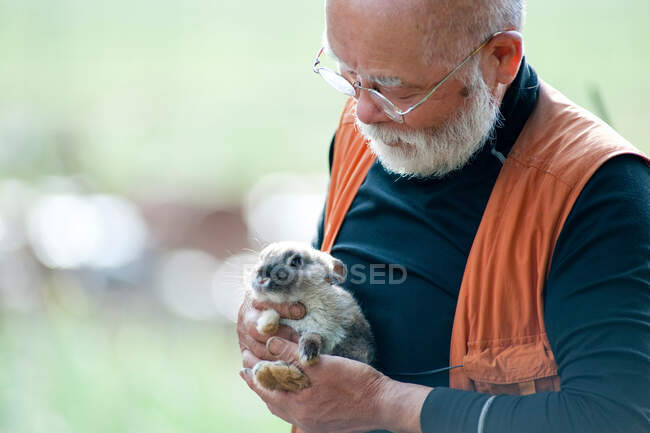 Hombre mayor sosteniendo conejo mascota - foto de stock