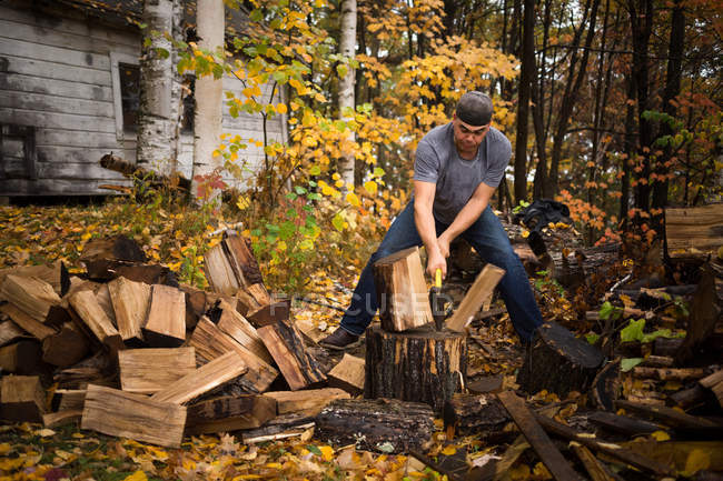 Hombre adulto dividiendo troncos en bosque otoñal, norte del estado de Nueva York, EE.UU. - foto de stock