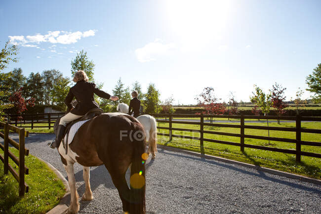Хлопчики катаються на конях на сонячному світлі — стокове фото