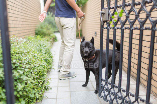 Cropped image of Dog looking out of gate — Stock Photo