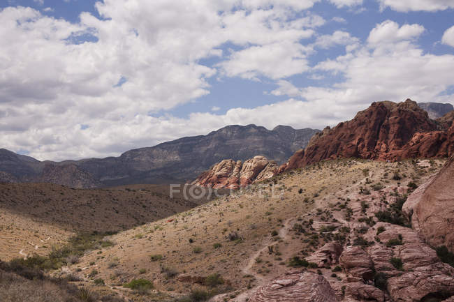 Червона скеля Каньйон національної Заповідна зона краєвид — стокове фото