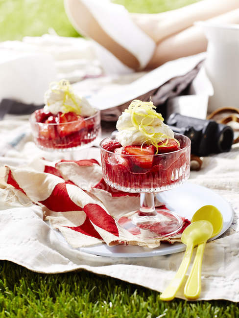 Rhubarb fool dessert portions on picnic blanket, close up — Stock Photo