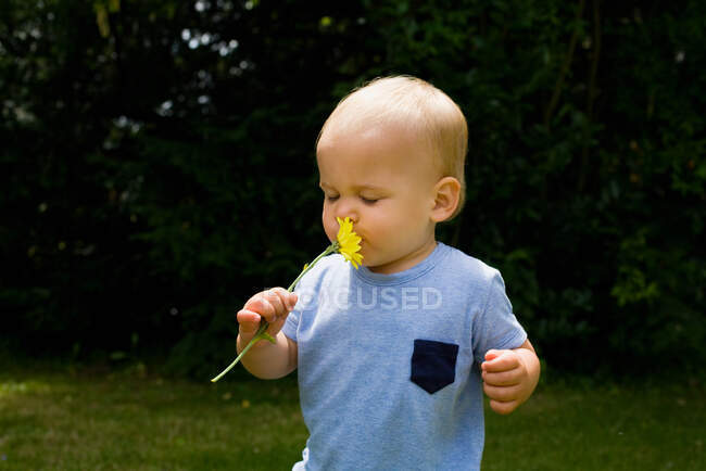Baby boy smelling a flower — Stock Photo