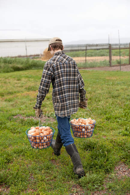 Мальчик несет две корзины с яйцами — стоковое фото