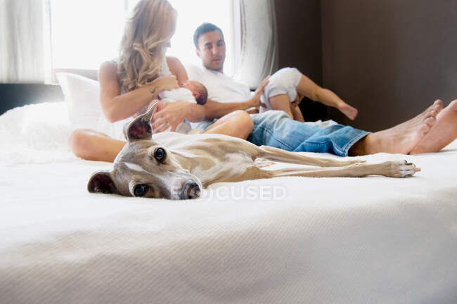 Chien de compagnie et famille avec couple avec bébés au lit — Photo de stock