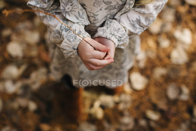 Imagem cortada de Menina segurando galho na floresta — Fotografia de Stock