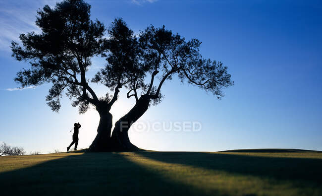Людина грає в гольф під деревом — стокове фото