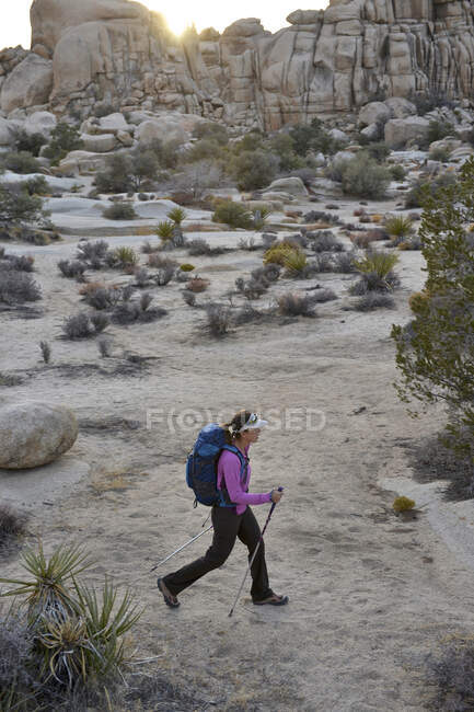 Жіночий рюкзак подорожує поул у національному парку Джошуа - Трі в пустелі Мохаве (Південна Каліфорнія, листопад 2012 року).. — стокове фото