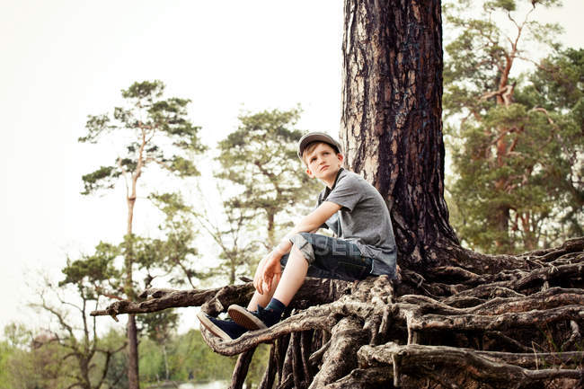 Niño sentado en las raíces del tronco del árbol - foto de stock