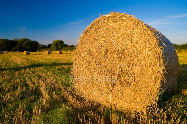 Haystack en el campo en la luz del sol brillante - foto de stock