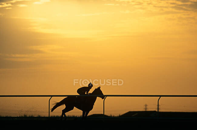 A silhouette of a jockey riding a horse — Stock Photo