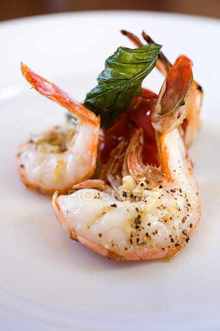 Shrimps with basil leaf — Stock Photo