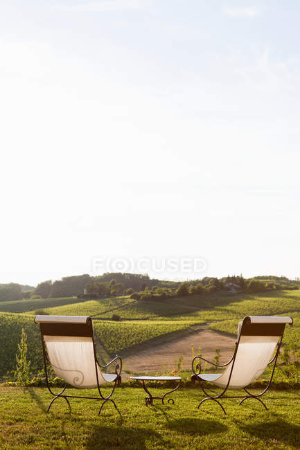 Chairs overlooking vineyard — Stock Photo