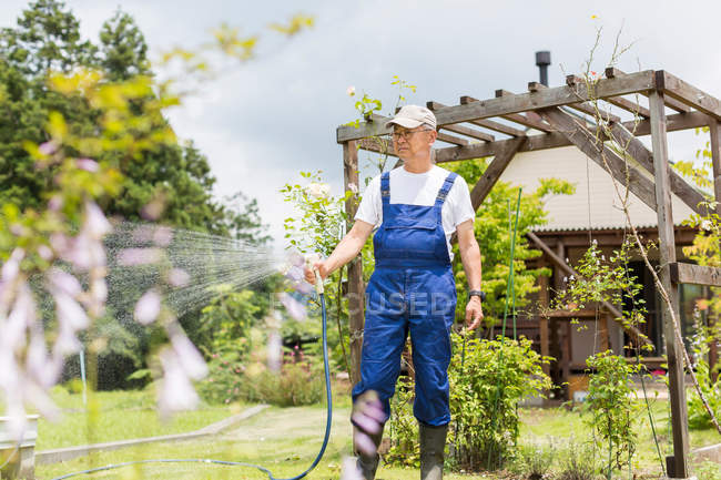 Hombre regando plantas en el jardín - foto de stock