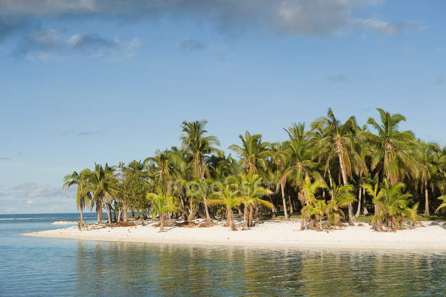 Strand mit Palmen — Stockfoto